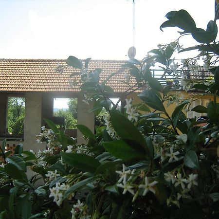 Fattoria Del Pino Orta San Giulio Ngoại thất bức ảnh