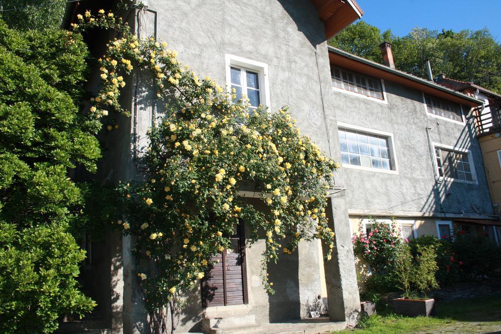 Fattoria Del Pino Orta San Giulio Ngoại thất bức ảnh