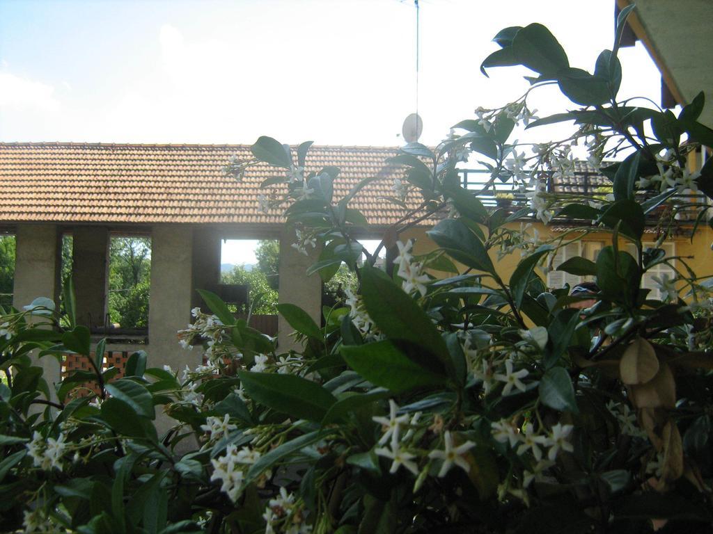 Fattoria Del Pino Orta San Giulio Ngoại thất bức ảnh