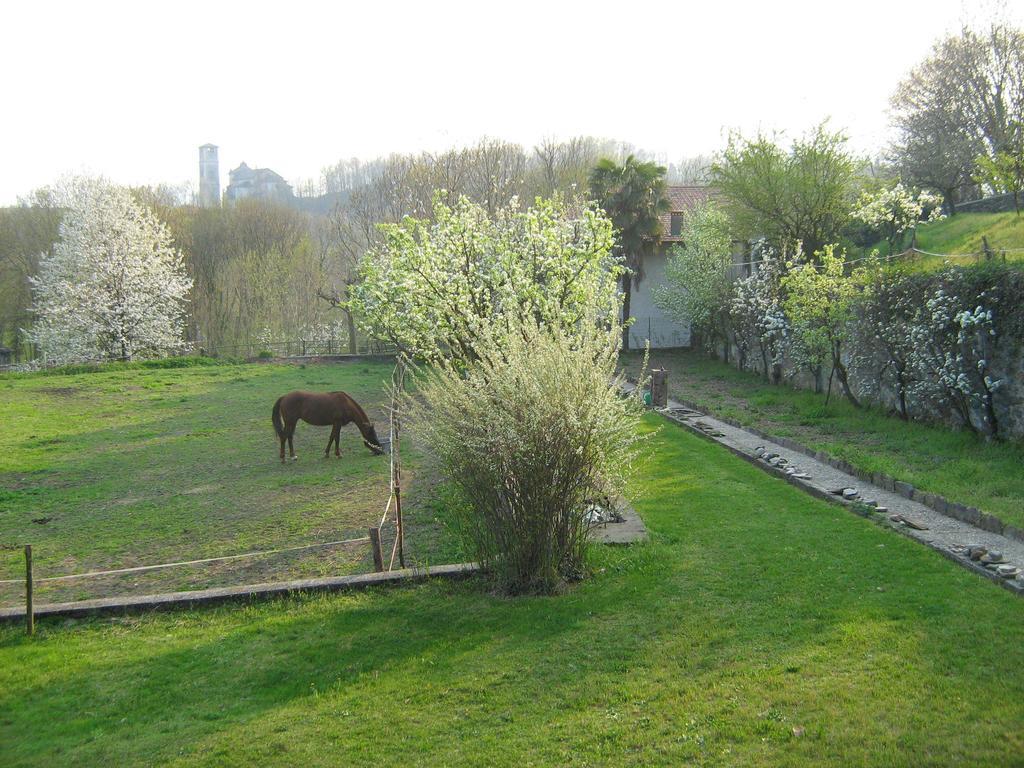 Fattoria Del Pino Orta San Giulio Ngoại thất bức ảnh