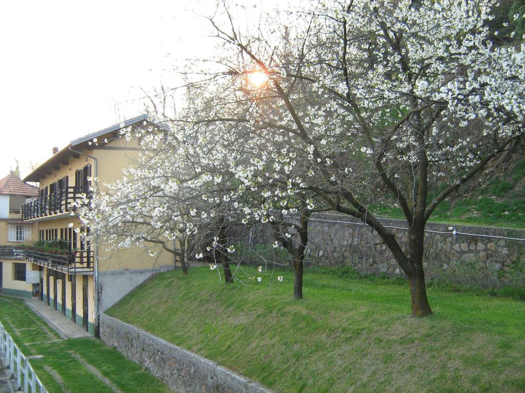 Fattoria Del Pino Orta San Giulio Ngoại thất bức ảnh